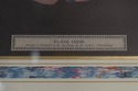 F51633: Pair Of Framed Fruit Prints By George Broo