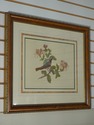F41723: English Vintage Hand Colored Watercolor Of