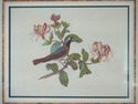 F41723: English Vintage Hand Colored Watercolor Of