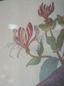 F41723: English Vintage Hand Colored Watercolor Of