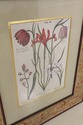 F56727EC: Pair Paint Decorated Framed Botanical Pr