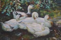 F64984EC: MINTZ Impressionist White Ducks Signed O