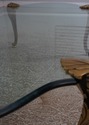 73680: LABARGE Brass & Glass Scroll Foot Coffee Ta