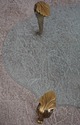 73680: LABARGE Brass & Glass Scroll Foot Coffee Ta