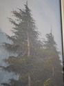 F73599: Oil On Canvas Mountain Scene - Artist Sign
