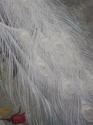 F73569: Large Oil On Canvas Peacock Painting - Art
