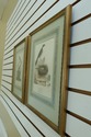 F32006EC: Pair Antique Vintage Matted & Framed Bir