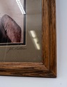 F69169: Pair of Framed Sea Bird Pictures By John P