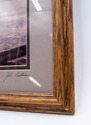 F69169: Pair of Framed Sea Bird Pictures By John P