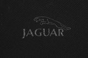 69153: JAGUAR Modern Design Leather Club Chair