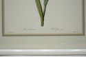 F73554: Set of 3 Floral Engraving Prints