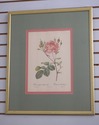 F73551: Set of 6 Rose Engraving Prints Artwork