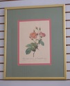 F73551: Set of 6 Rose Engraving Prints Artwork