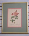 F73551: Set of 6 Rose Engraving Prints Artwork