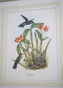 F73553: CHELSEA HOUSE Pair of Flower & Bird Engrav