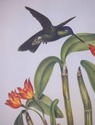 F73553: CHELSEA HOUSE Pair of Flower & Bird Engrav