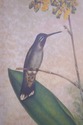 F73553: CHELSEA HOUSE Pair of Flower & Bird Engrav