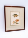 F69315: Pair of Framed Signed & Numbered Art Study