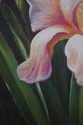 64996: Vintage Oil On Canvas Floral Framed Paintin