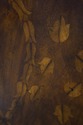 L72159: THEODORE ALEXANDER Inlaid Mahogany Large C