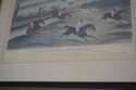 F72248:  Vintage Hand Painted Horse Racing Engravi
