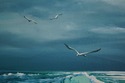 F67496: W. DAWSON Signed Ocean & Seagull Oil Paint