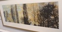 F53703EC: Pair SKYLINE Professionally Framed Gicle