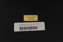 68273: MAITLAND SMITH Banded Mahogany Duncan Phyfe