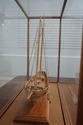 F64366EC: VIRGINIA PILOTHOAT Tall Ship Model In Gl