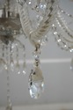 F68535: SCHONBEK Hand Crafted 11 Arm Crystal Chand