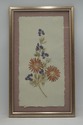 LF73315: Set of 5 Vintage Pressed Wildflower Art O