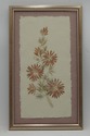 LF73315: Set of 5 Vintage Pressed Wildflower Art O