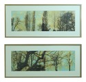 F53703EC: Pair SKYLINE Professionally Framed Gicle