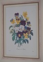 F62217EC: Set of 7 Gold Framed Botanical Prints