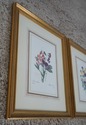 F62217EC: Set of 7 Gold Framed Botanical Prints