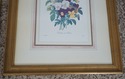 F62217EC: Set of 7 Gold Framed Botanical Prints