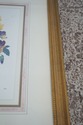 F62217EC: Set of 7 Gold Framed Botanical Prints