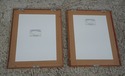 F62217EC: Set of 7 Gold Framed Botanical Prints