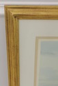 F57737EC: Large Gold Framed & Matted Exotic Bird P