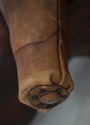 F75046: DIMITRI OMERSA ABERCROMBIE & FITCH Leather