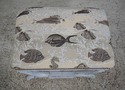 61968EC: Decorative X Base Bench w. Tropical Fish 