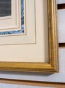 F70354: JOHN J AUDOBON Trumpeter Swan Havell Frame