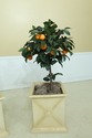 F50063E/64E: Pair Faux Orange Trees In Decorative 