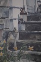 F44509EC: Artist Signed Professionally Framed Step