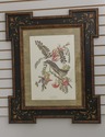 F57266EC: Pair Framed & Matted Botanical Bird Prin