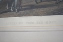 F74711: W. SHAYER & CR STOCK English Horse Colored