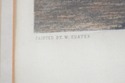 F74711: W. SHAYER & CR STOCK English Horse Colored