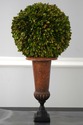 F74734: Pair Of WILDWOOD ACCENTS Topiary Urns