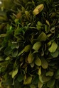 F74734: Pair Of WILDWOOD ACCENTS Topiary Urns