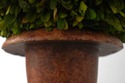 F74734: Pair Of WILDWOOD ACCENTS Topiary Urns